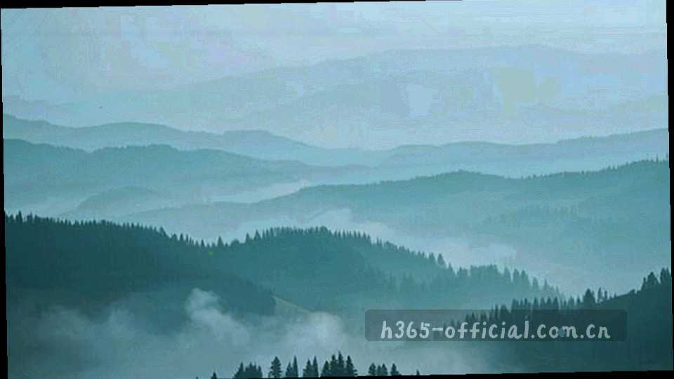 横向时间轴截图，菱形节点串联各期栏目内容